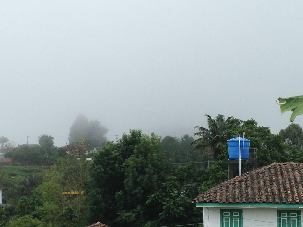 Hostal Casa De Los Taitas Pansiyon Salento Dış mekan fotoğraf