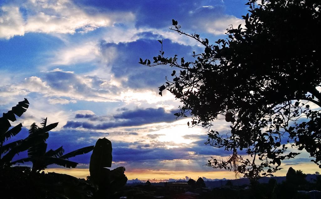 Hostal Casa De Los Taitas Pansiyon Salento Dış mekan fotoğraf