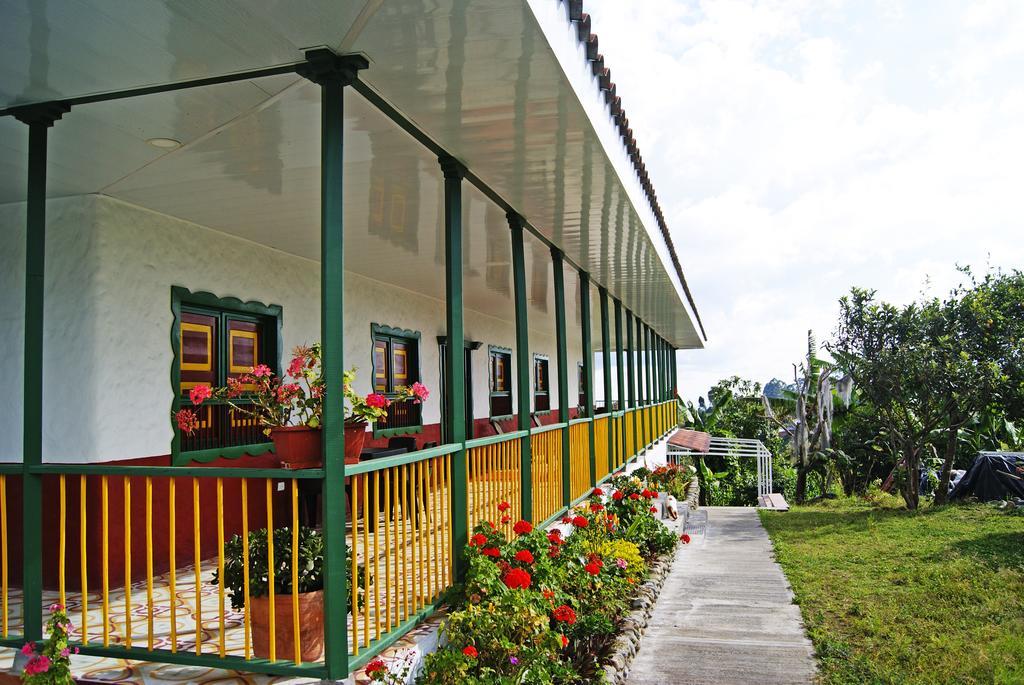 Hostal Casa De Los Taitas Salento Dış mekan fotoğraf